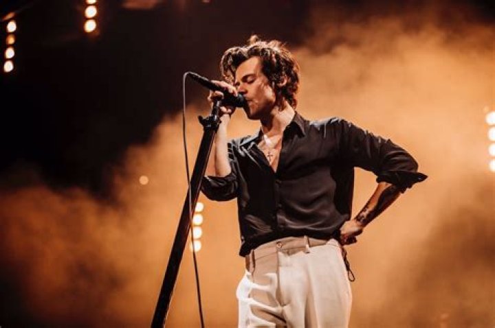 A non-definitive ranking of Harry Styles's tour outfits
