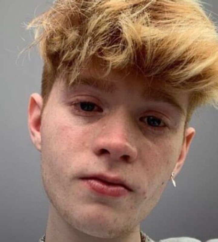 Cody Orlove Height, Weight, Age, Net Worth, Dating, Bio, Facts