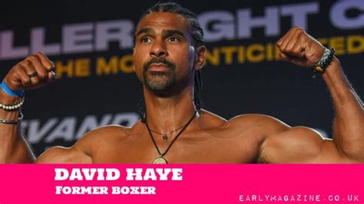 David Haye Fortune