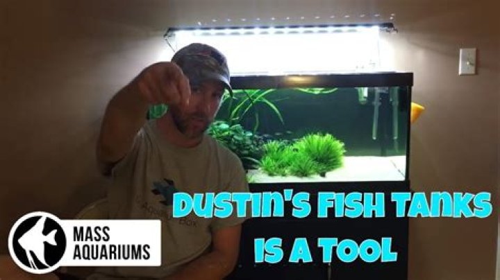 Dustin's Fish Tanks net worth, income and estimated earnings of Youtuber channel