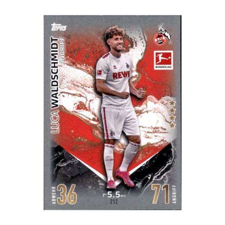 Luca Waldschmidt Fortune