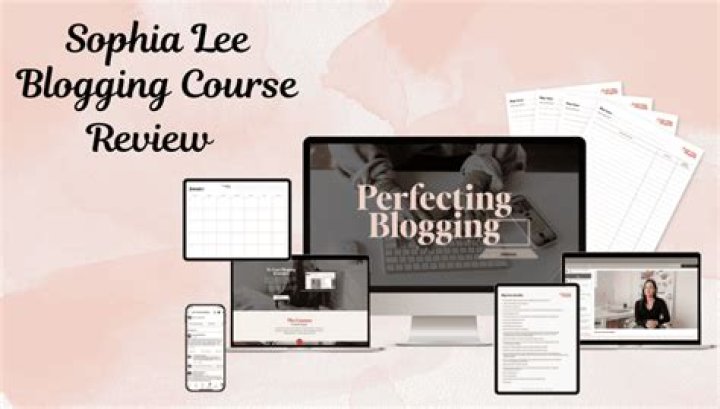 Perfecting Blogging | By Sophia Lee Blogging video statistics