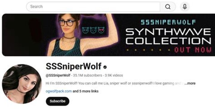 Similar Youtubers to holy wolf